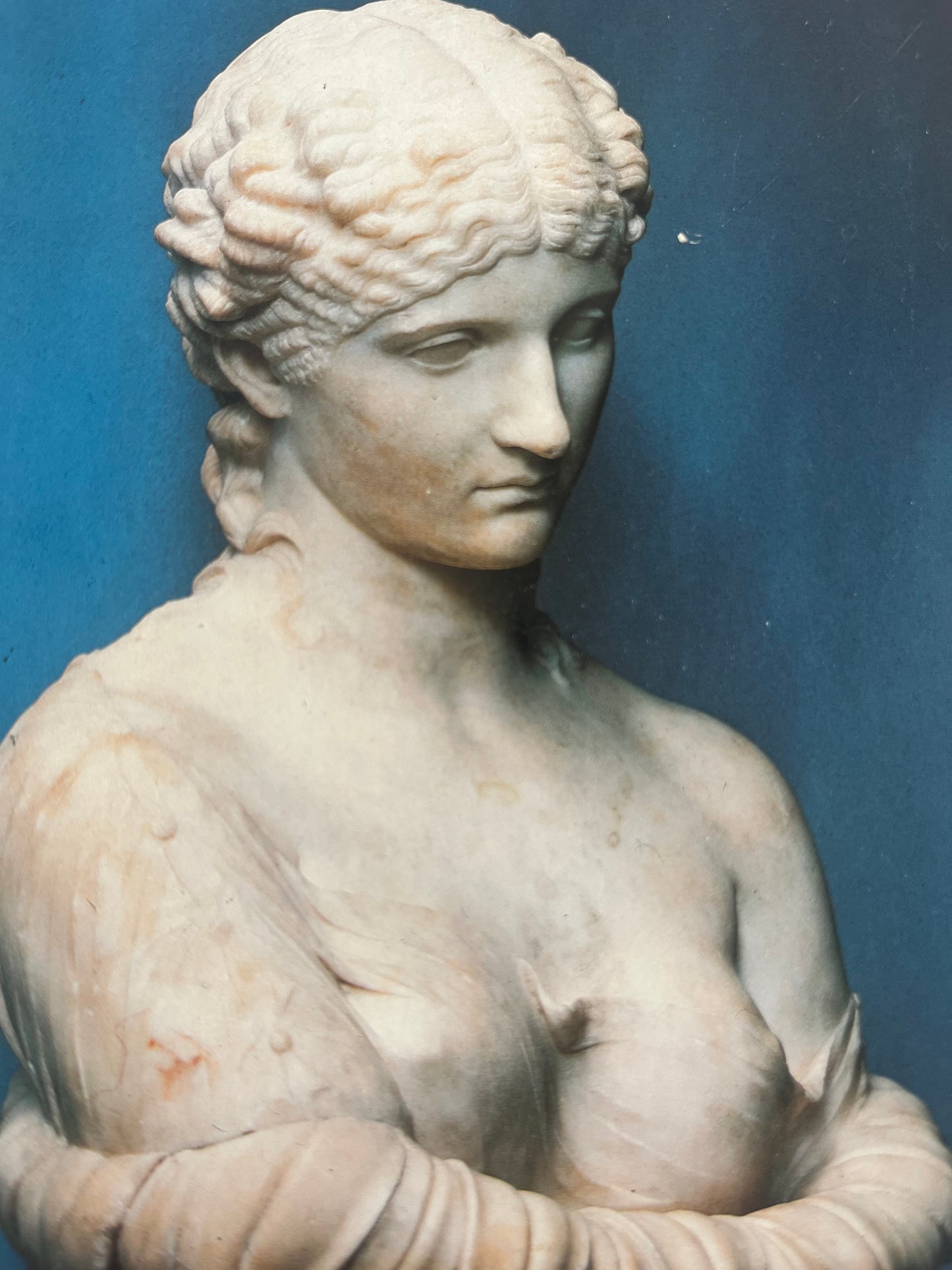 ‘Clytie’ Or ‘Antonia Minor’ Roman Bust British Museum Blank Postcard