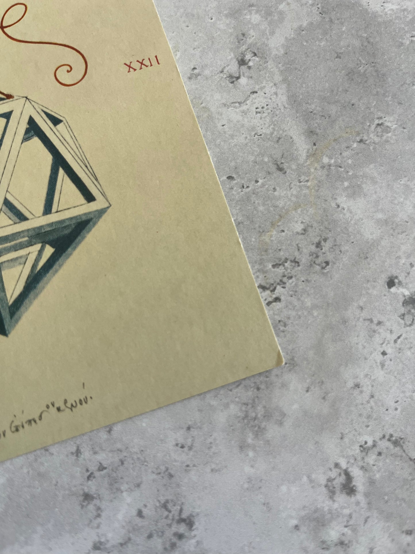 Leonardo Da Vinci Icosahedron Shape Art Postcard Divine Proportion Illustration