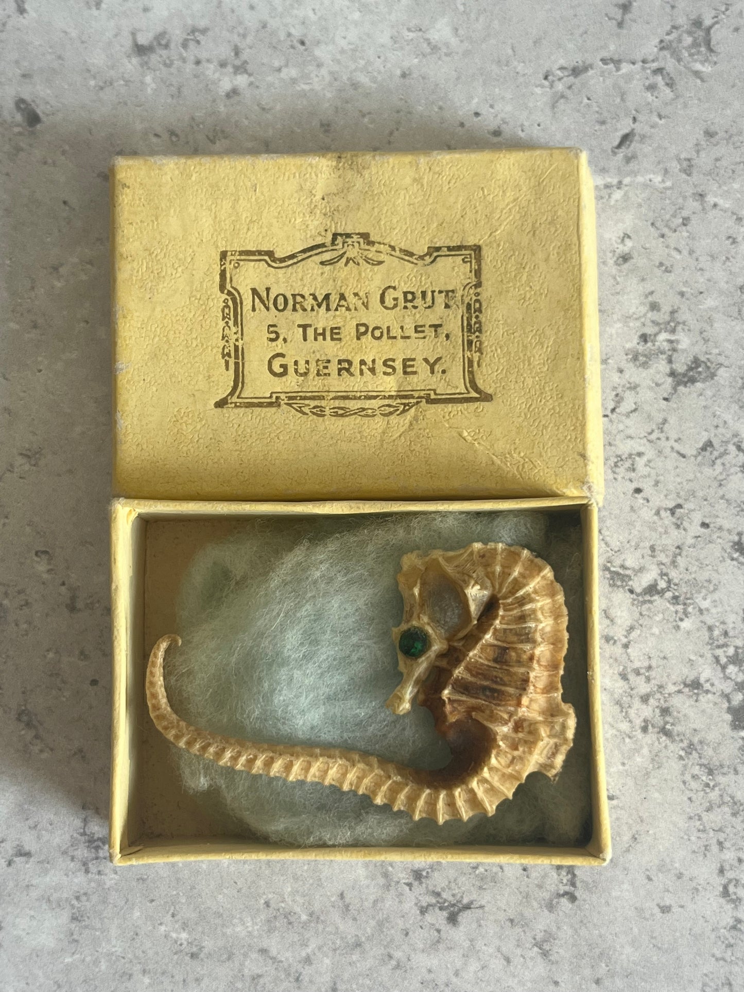 Vintage Taxidermy Seahorse Brooch With Crystal Eye Guernsey Made