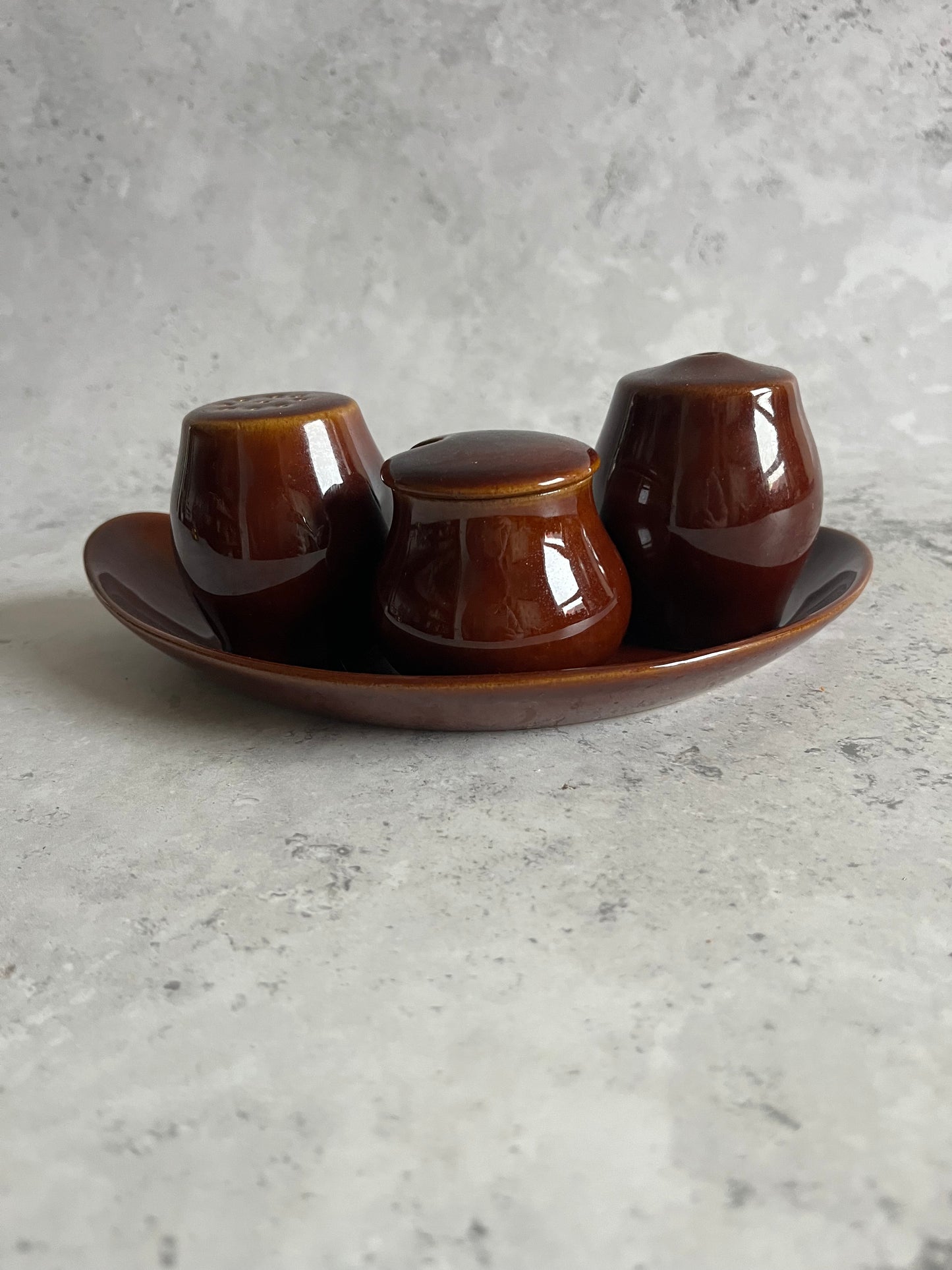Vintage Bourne Denby Condiment Set Homestead Brown Glaze Cruet Set