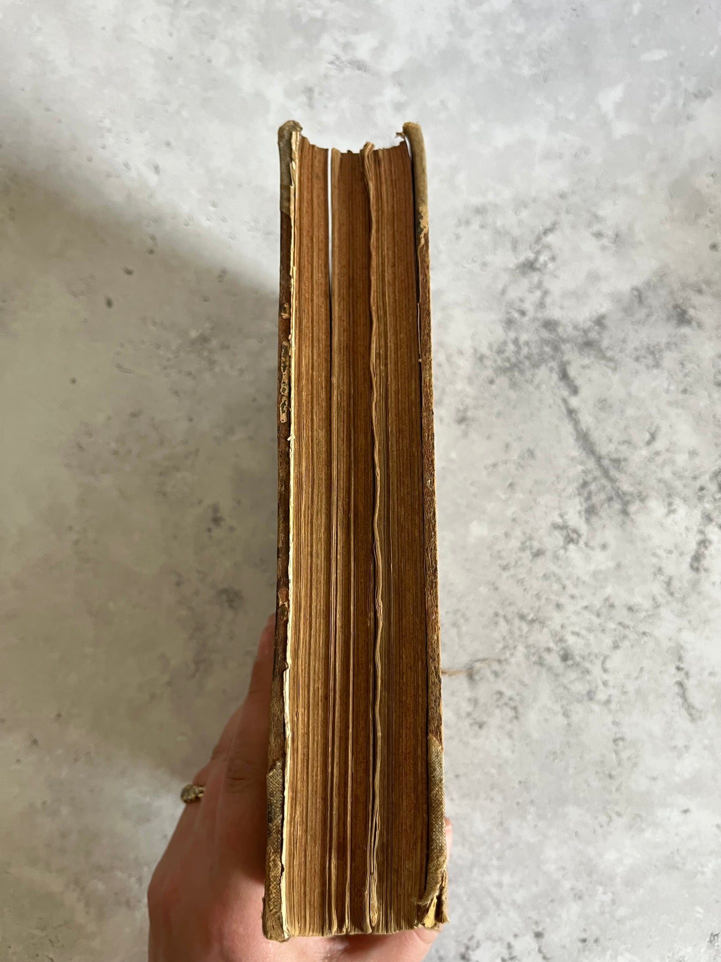 The Argosy 1894 Vol. 2 Article Collection Edited By Charles W Wood