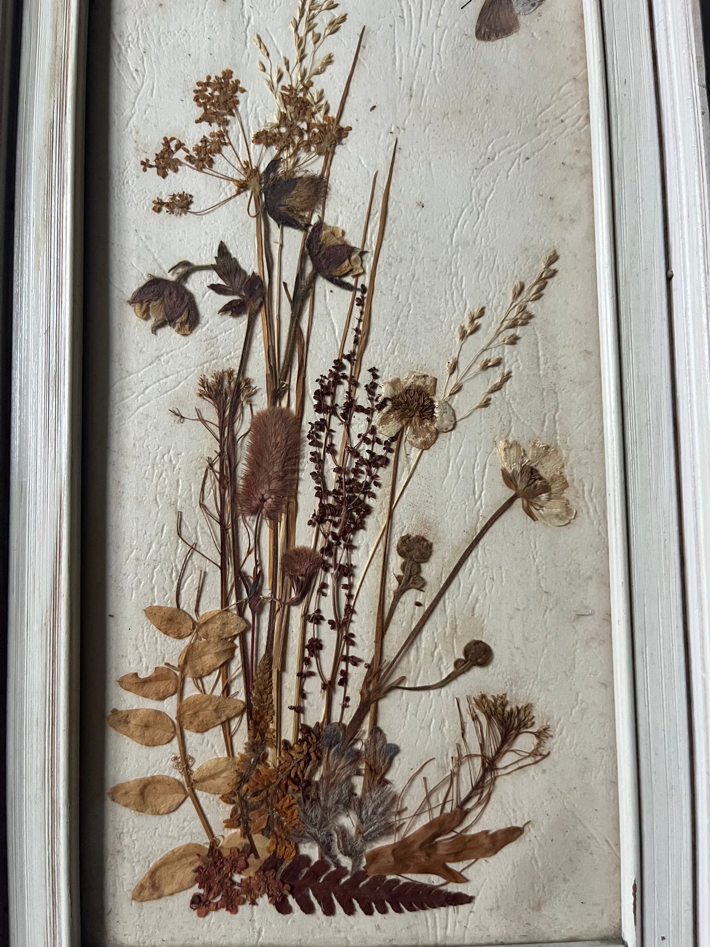 Vintage Pressed Flower Wall Art In Frame Butterfly Detail Cottage Decor