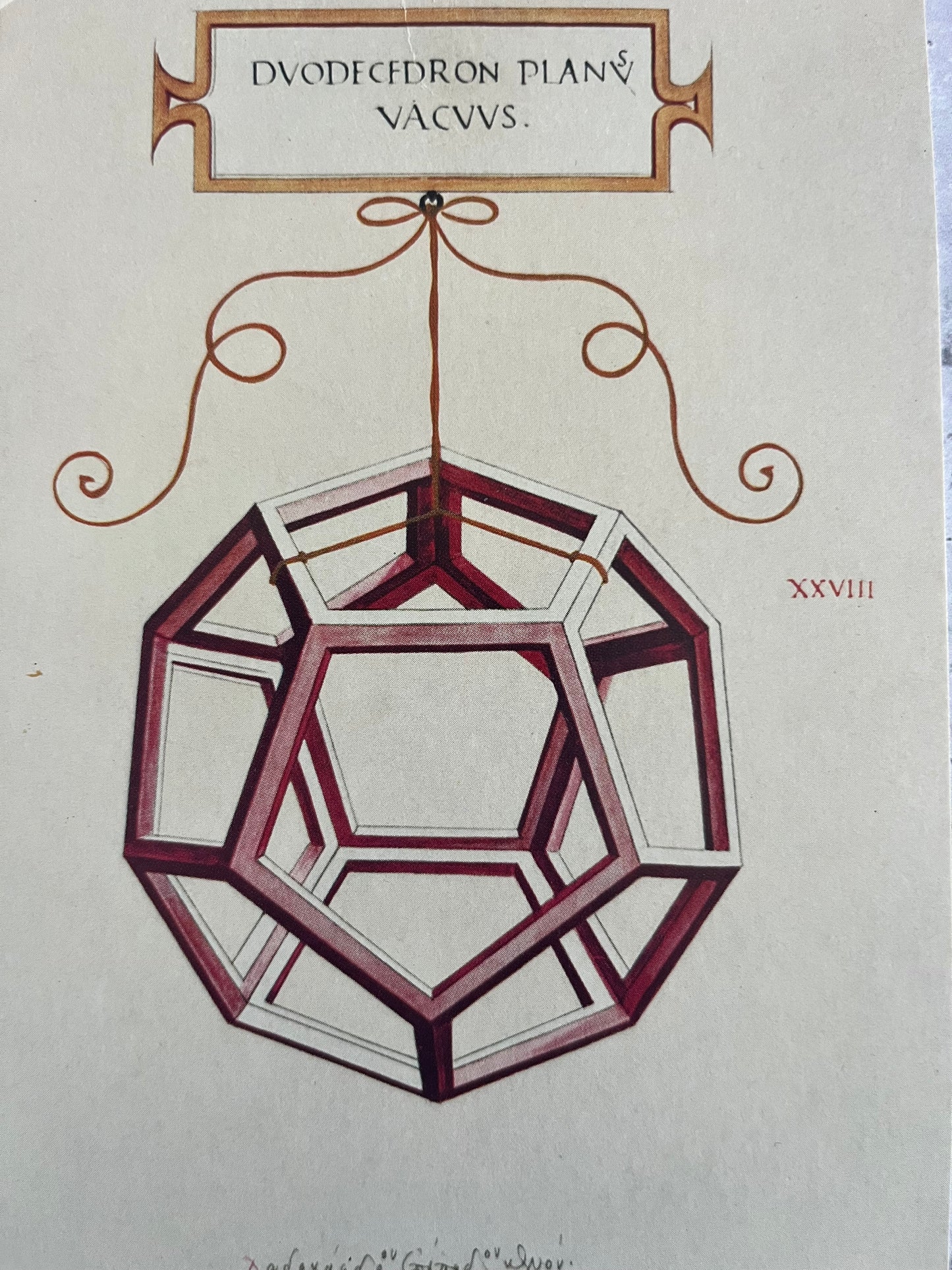 Leonardo Da Vinci Dodecahedron Shape Art Postcard Divine Proportion Illustration