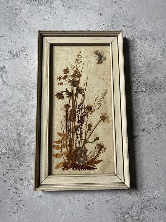 Vintage Pressed Flower Wall Art In Frame Butterfly Detail Cottage Decor