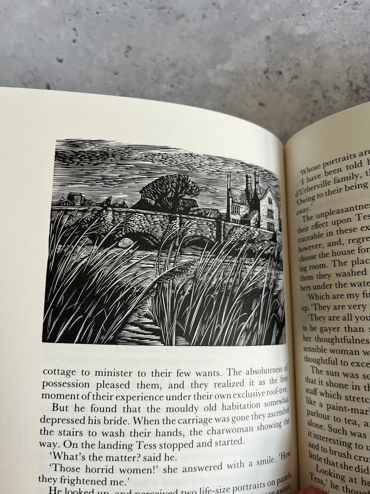 Tess Of The D’Urbervilles By Thomas Hardy Clothbound 1997 Ed HB Book