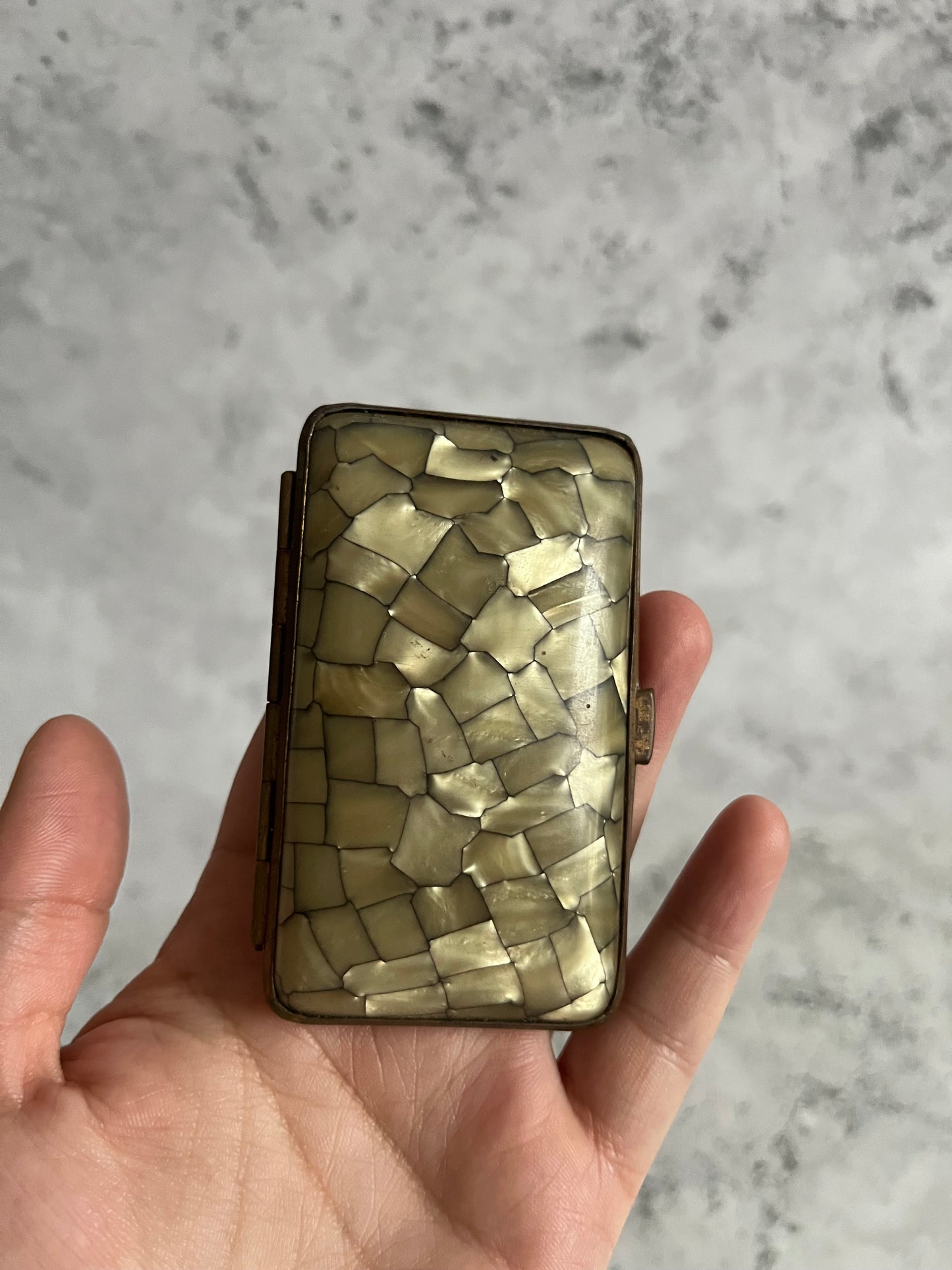 Vintage Mother Of Pearl Mosaic Pattern Cigarette Case Portable Case