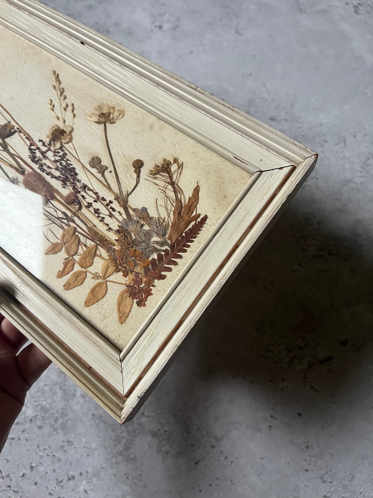 Vintage Pressed Flower Wall Art In Frame Butterfly Detail Cottage Decor