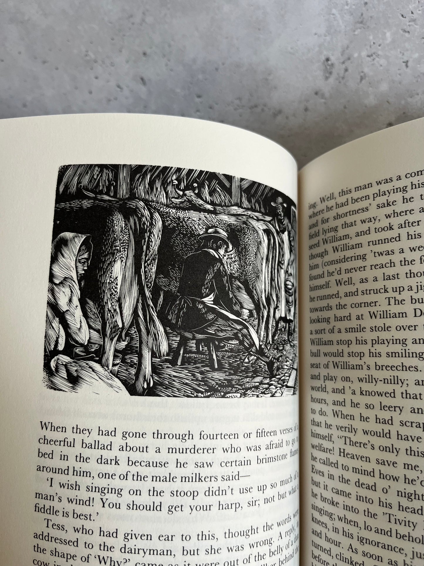 Tess Of The D’Urbervilles By Thomas Hardy Clothbound 1997 Ed HB Book