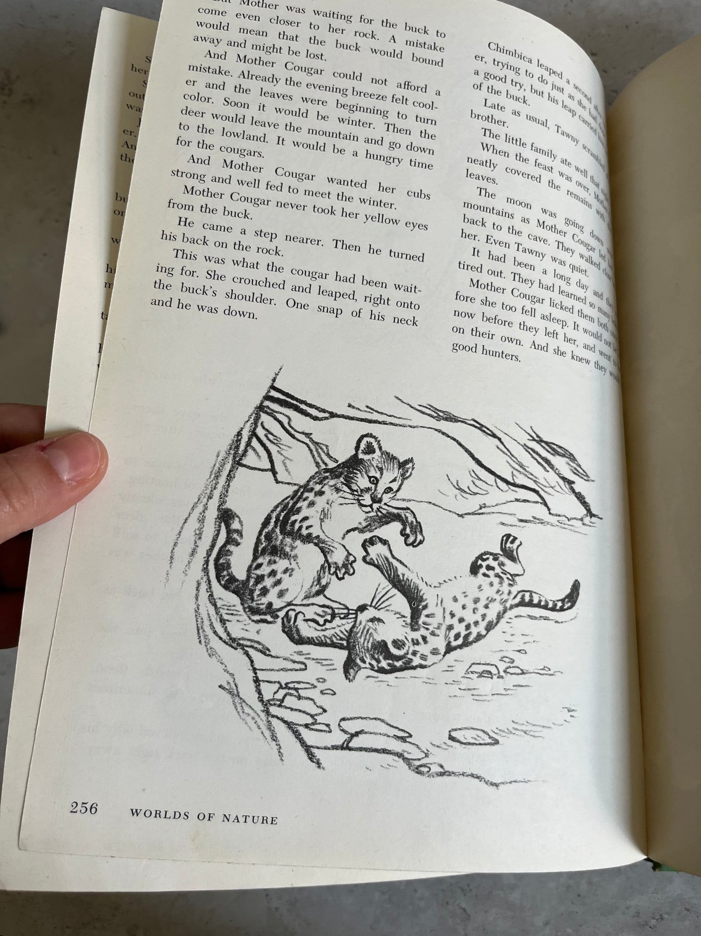 Vintage Disney Worlds Of Nature 1965 Hardback Edition Book