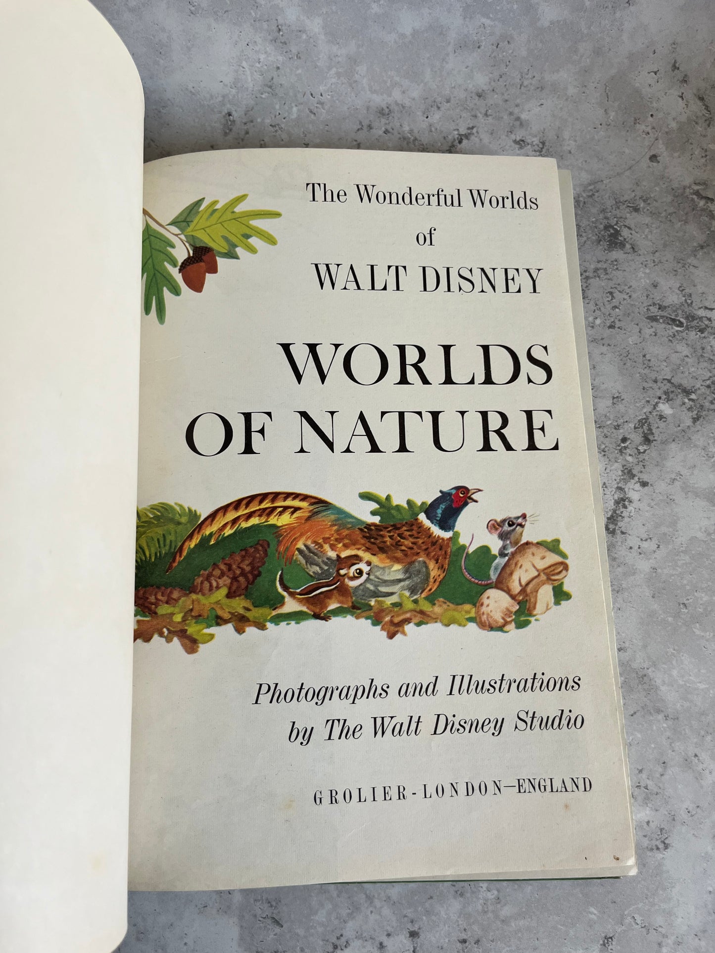 Vintage Disney Worlds Of Nature 1965 Hardback Edition Book