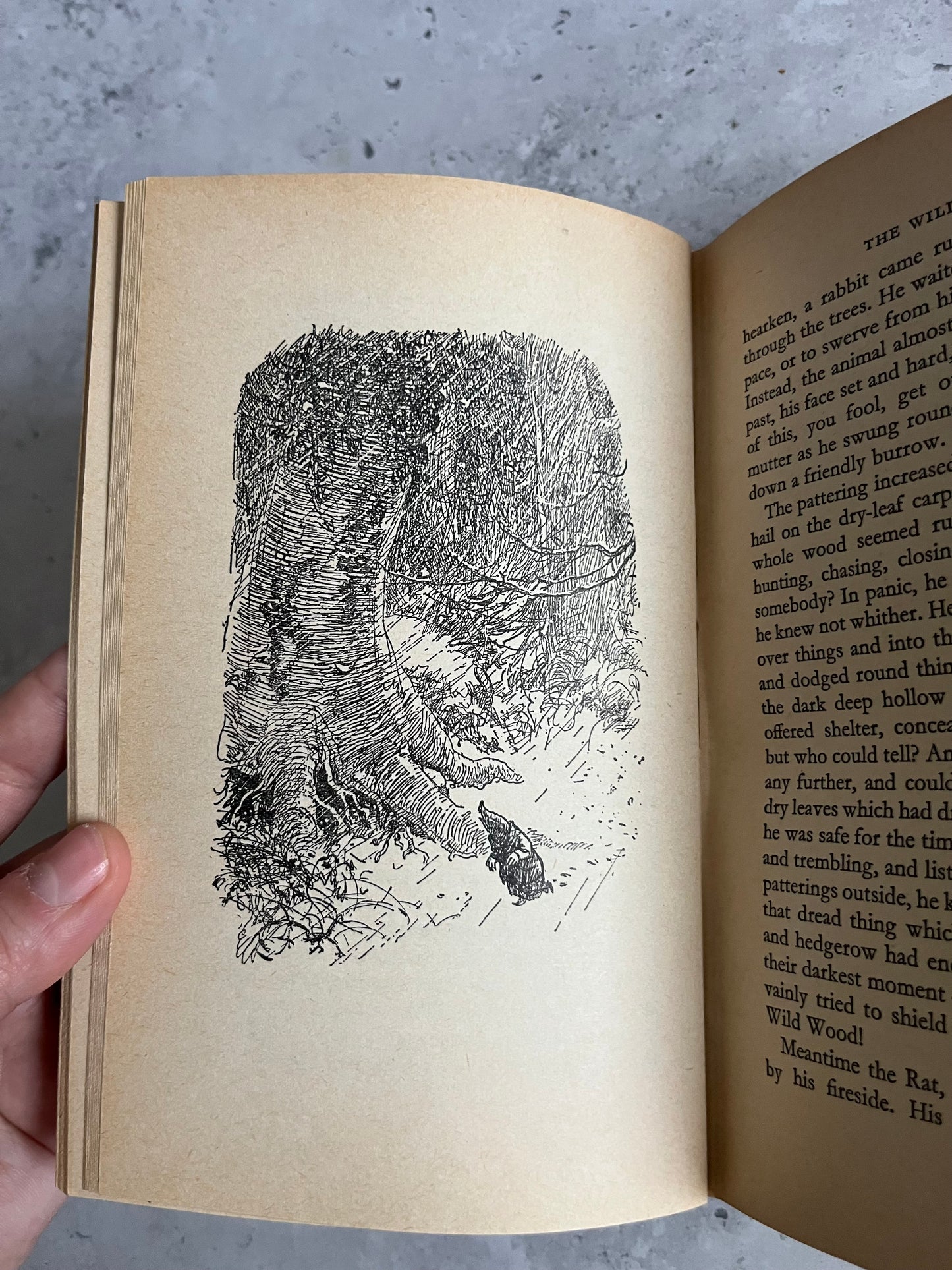 The Wind In The Willows By Kenneth Grahame Illustrated Hardback Book Methuen 1968 Edition