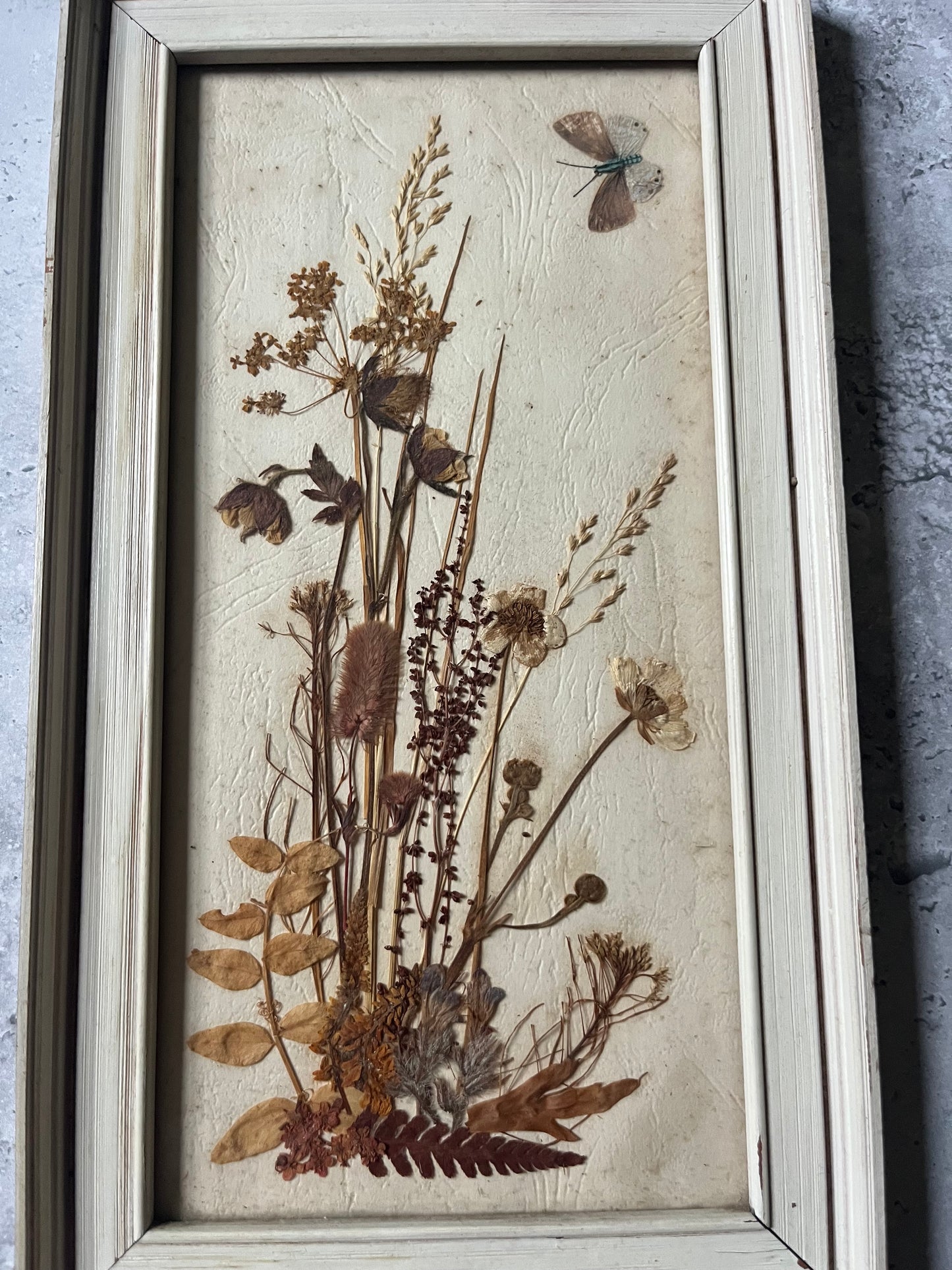 Vintage Pressed Flower Wall Art In Frame Butterfly Detail Cottage Decor