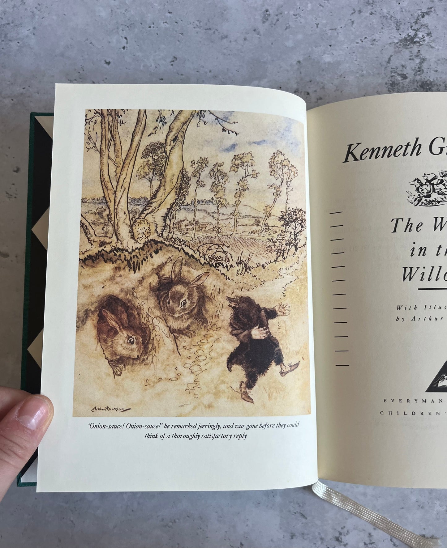 The Wind In The Willows By Kenneth Grahame Illustrated Hardback Book