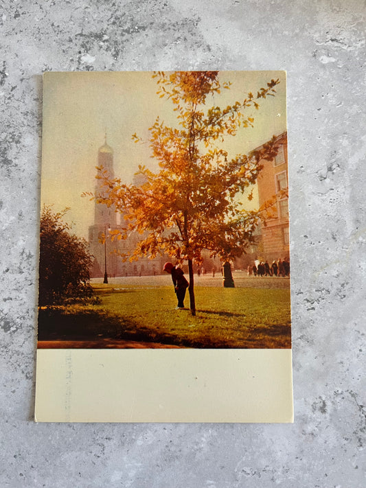 Vintage Blank Soviet 1966 Ivanovskaya Square Kremlin Photography Postcard Autumnal Theme