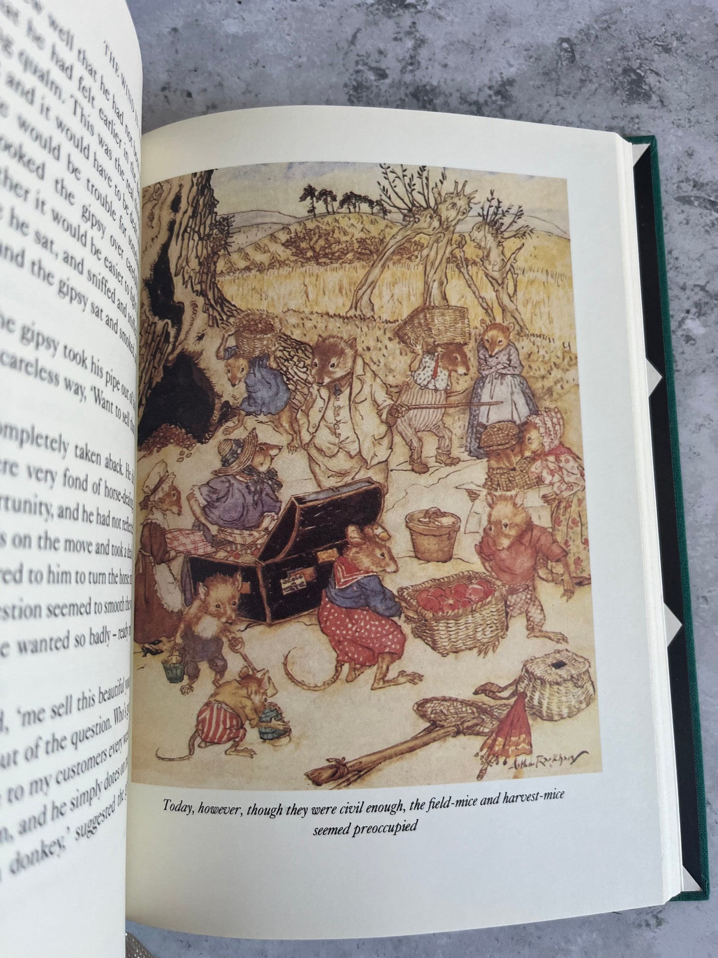 The Wind In The Willows By Kenneth Grahame Illustrated Hardback Book