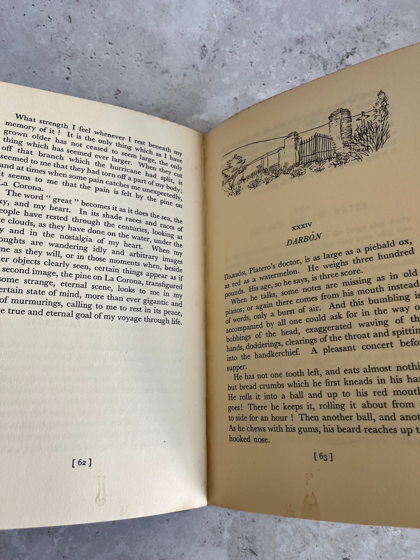 Platero And I By Juan Ramón Jiménez Dolphin Press 1st Ed. Ill. By Baltasar Lobo HB Book