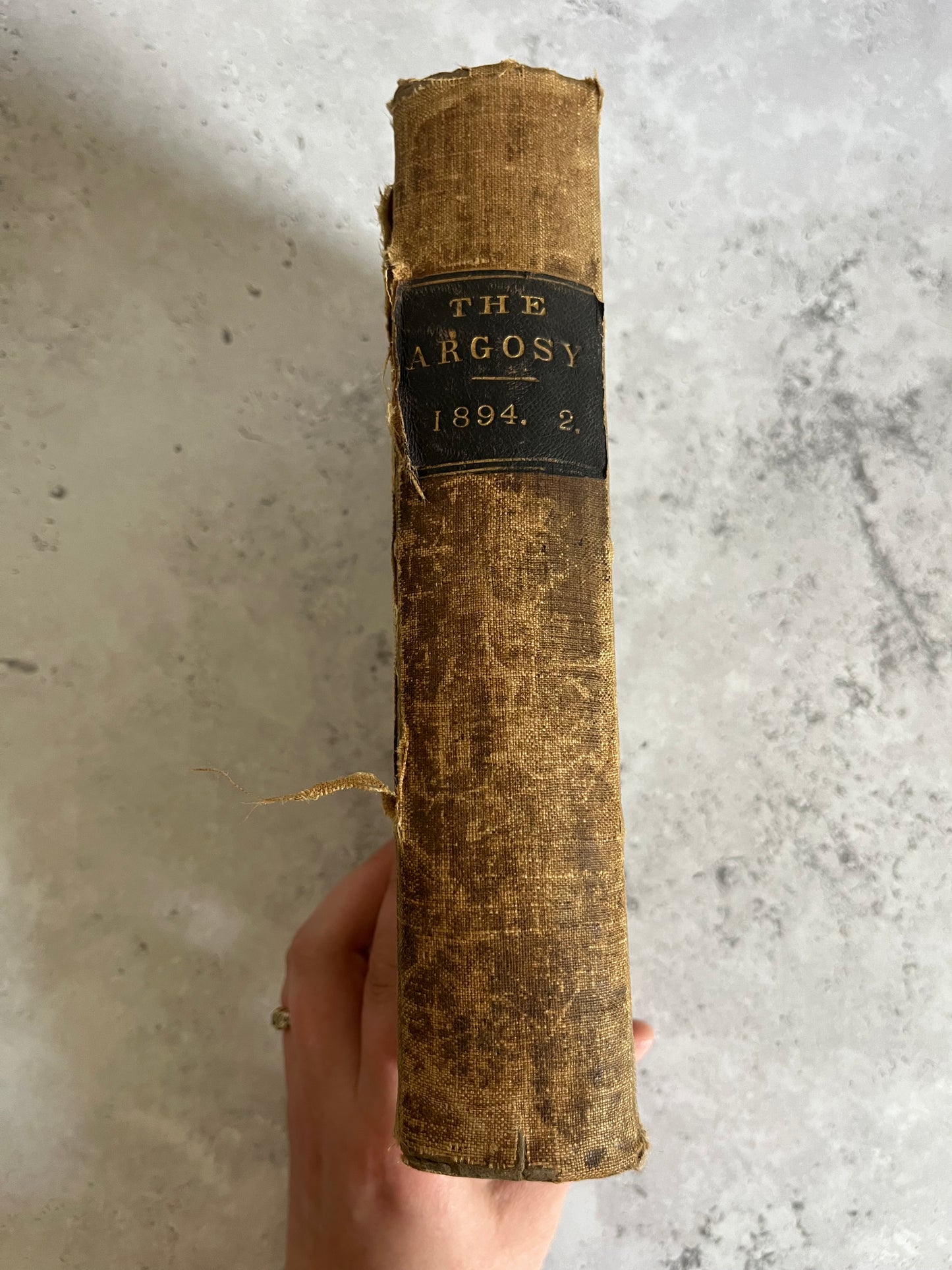 The Argosy 1894 Vol. 2 Article Collection Edited By Charles W Wood