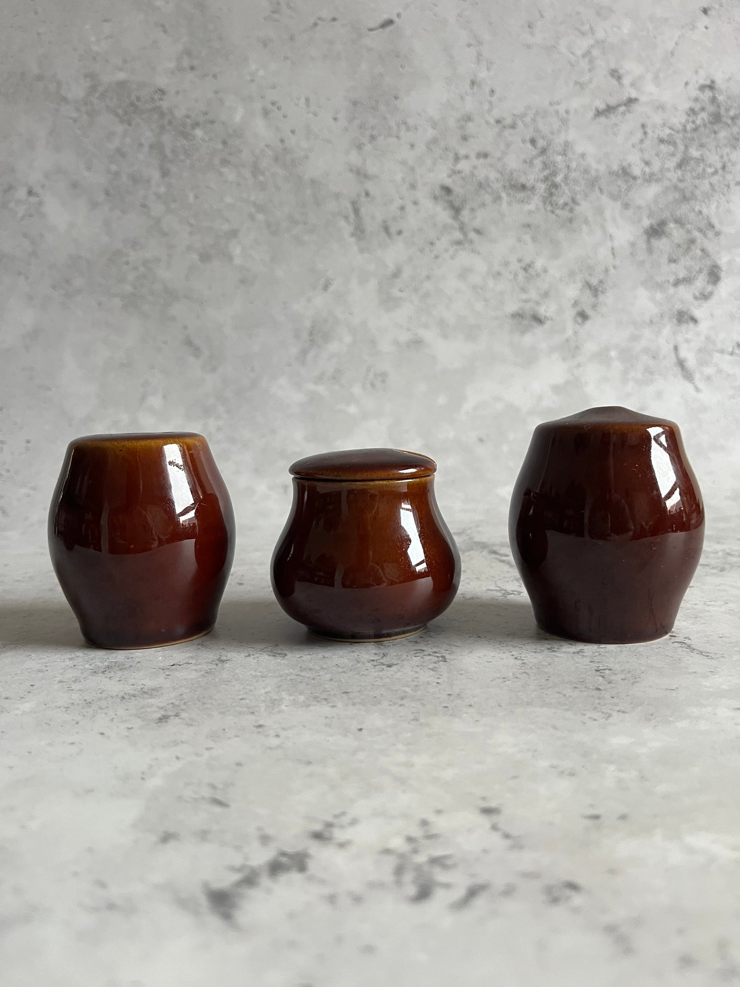 Vintage Bourne Denby Condiment Set Homestead Brown Glaze Cruet Set