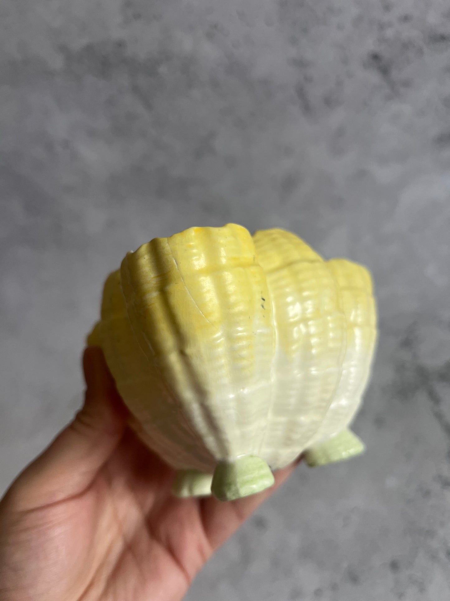Vintage Royal Worcester Shell Shaped Bon Bon Dish Sugar Bowl Green Yellow Ombré