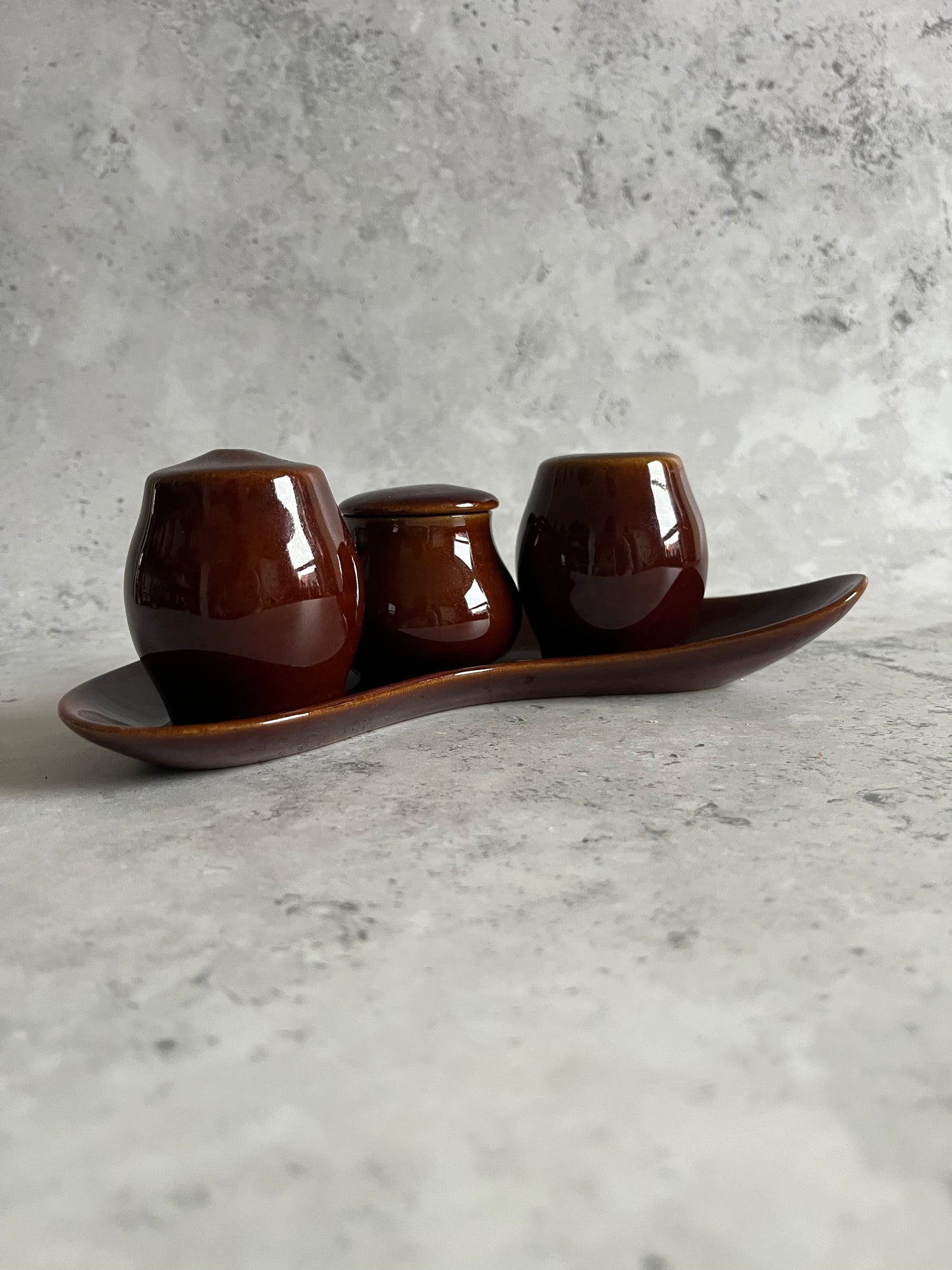 Vintage Bourne Denby Condiment Set Homestead Brown Glaze Cruet Set