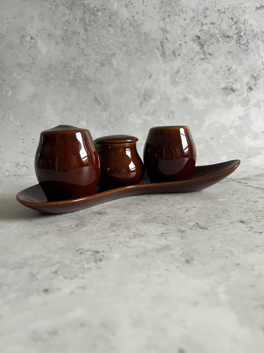 Vintage Bourne Denby Condiment Set Homestead Brown Glaze Cruet Set