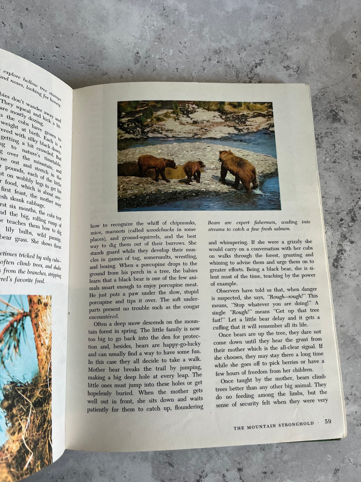 Vintage Disney Worlds Of Nature 1965 Hardback Edition Book