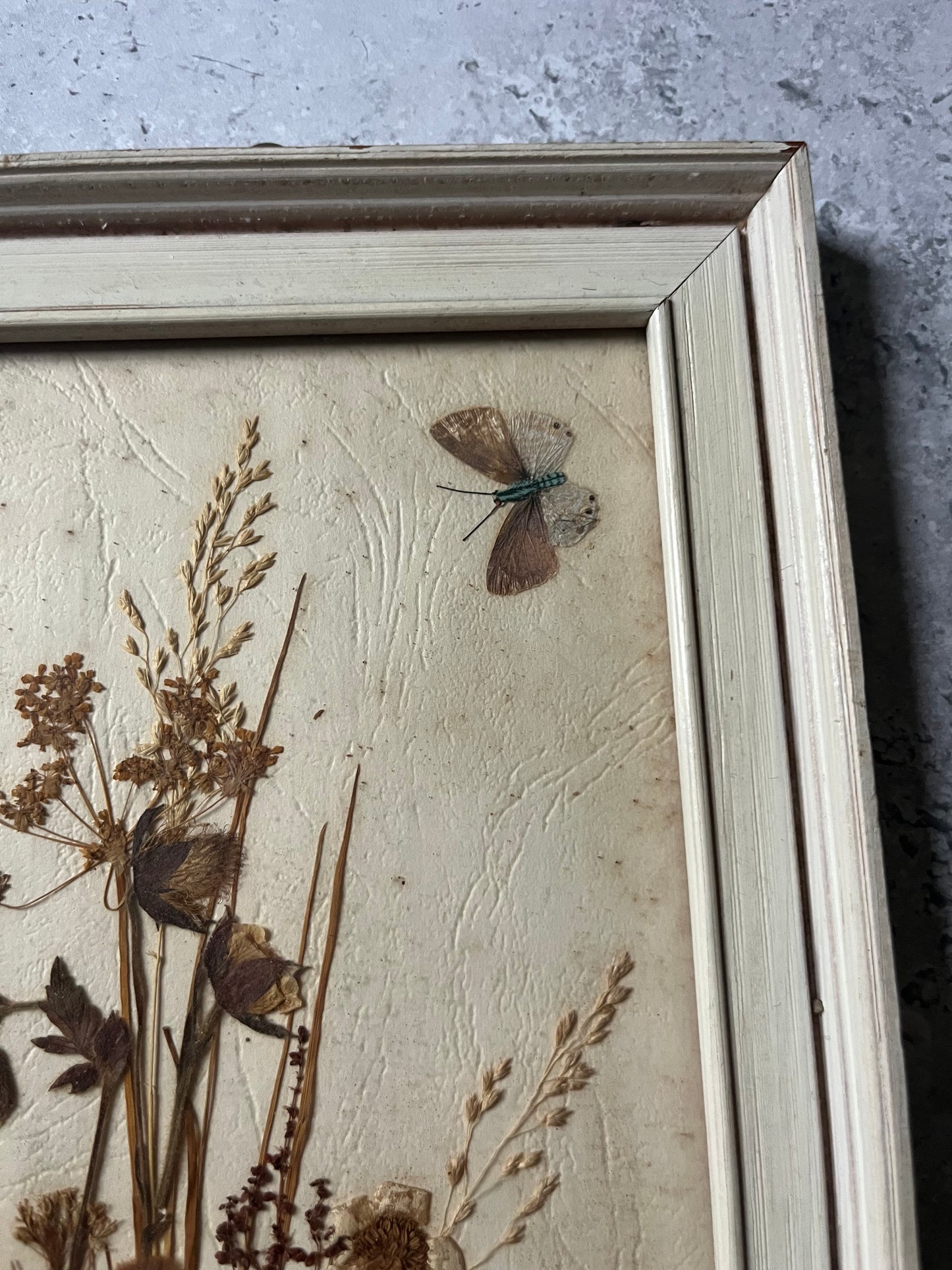 Vintage Pressed Flower Wall Art In Frame Butterfly Detail Cottage Decor