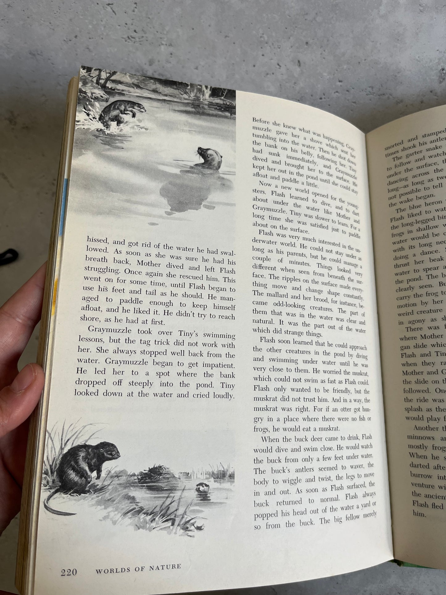 Vintage Disney Worlds Of Nature 1965 Hardback Edition Book