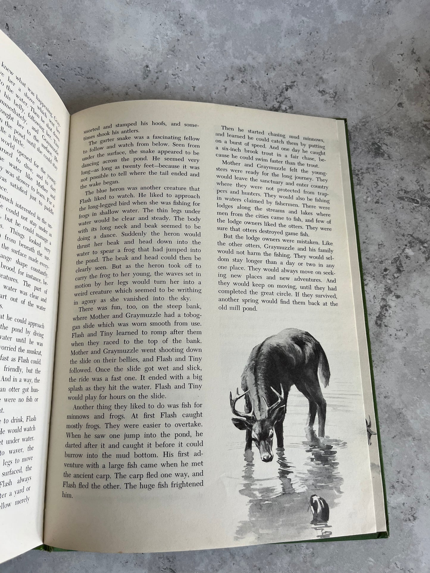 Vintage Disney Worlds Of Nature 1965 Hardback Edition Book