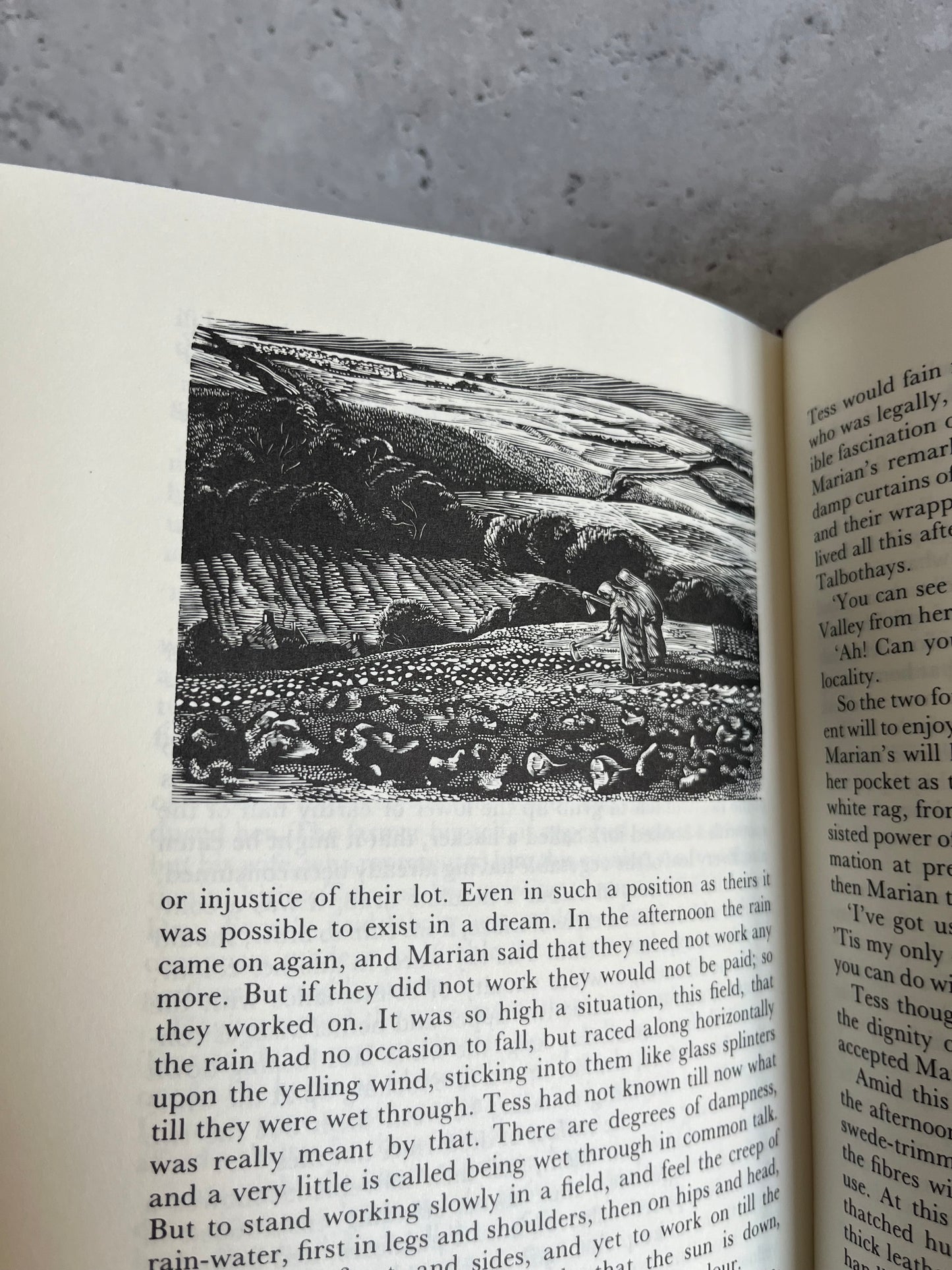 Tess Of The D’Urbervilles By Thomas Hardy Clothbound 1990 Ed HB Book