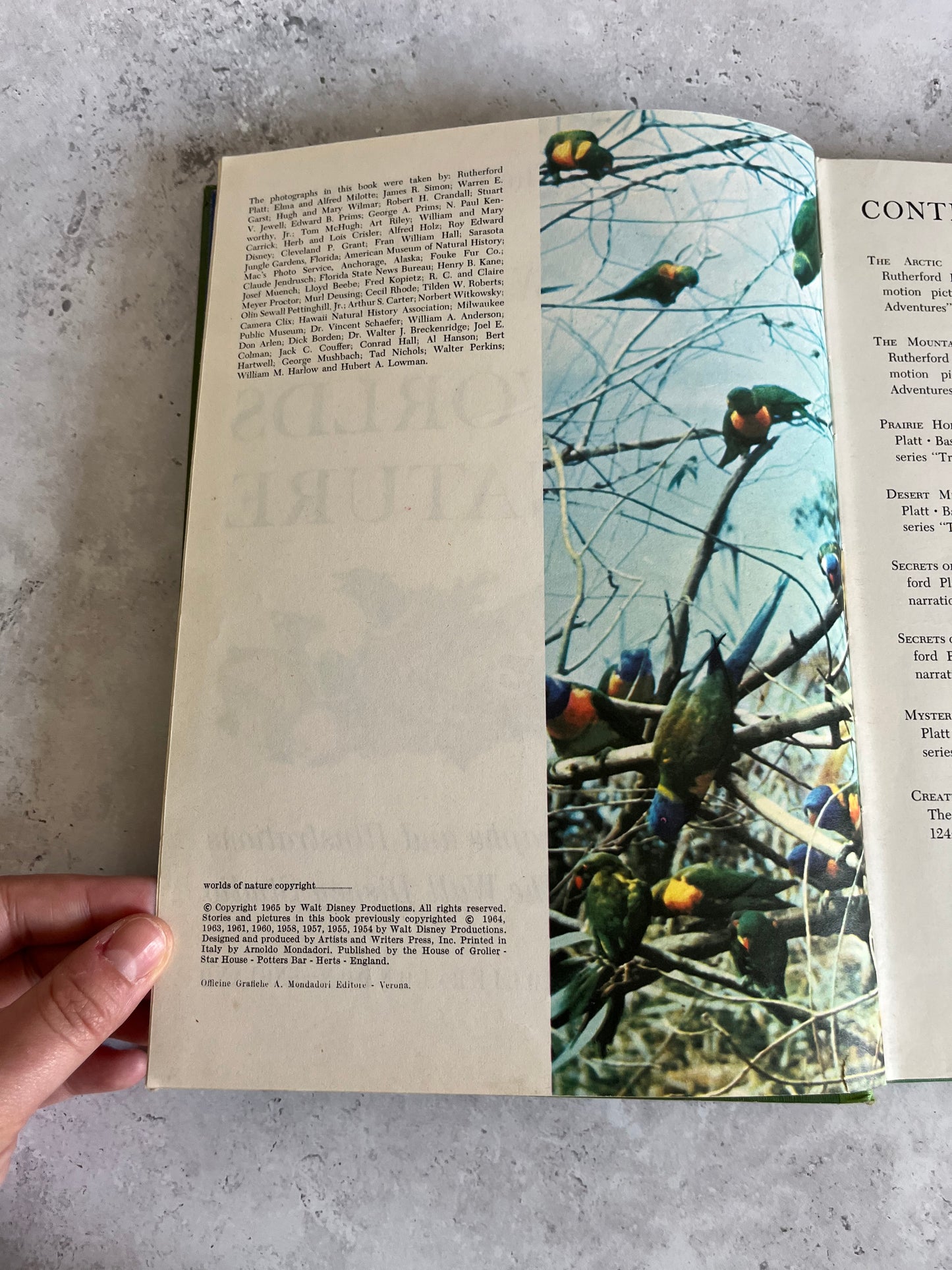 Vintage Disney Worlds Of Nature 1965 Hardback Edition Book