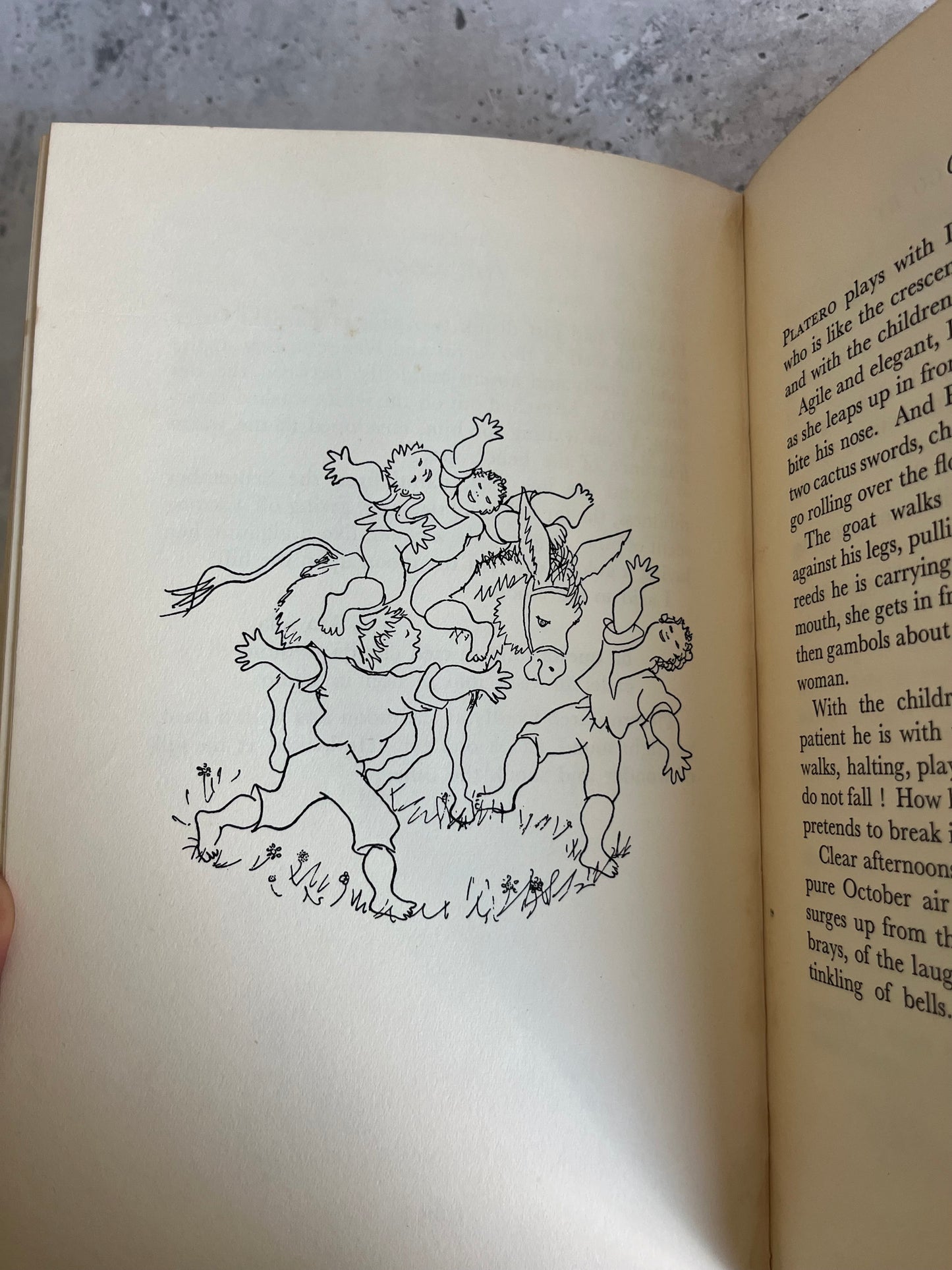 Platero And I By Juan Ramón Jiménez Dolphin Press 1st Ed. Ill. By Baltasar Lobo HB Book